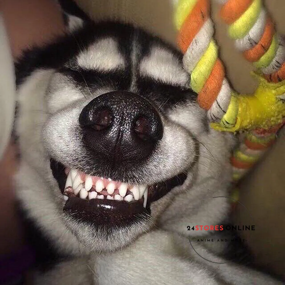 Hình ảnh con chó ngáo nhe răng 